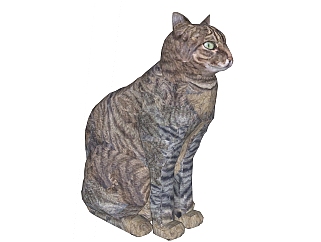 现代美国短毛<em>猫</em>草图大师模型，动物sketchup模型下载