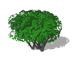 九里香<em>灌木球</em>sketchup模型下载，灌木地被草图大师模型
