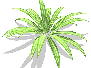 吊兰绿植sketchup模型，现代观叶<em>植物</em>skp文件下载