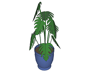 龟背<em>竹</em>盆栽sketchup模型，手绘绿植草图大师模型下载