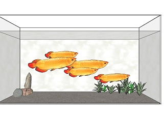 现代<em>观赏鱼缸</em>草图大师模型，鱼缸sketchup模型下载