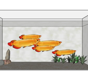 现代观赏鱼缸草图大师模型，鱼缸sketchup模型下载