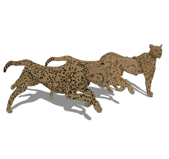 现代猎豹草图大师模型，猎豹sketchup模型下载