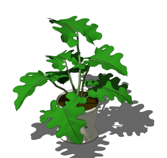 春羽盆栽植物su模型，园艺花草sketchup模型下载