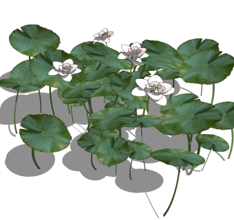 现代莲花sketchup模型免费下载，莲花草图大师模型分享