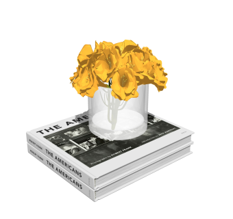 画册花瓶插花摆件草图大师模型,现代装饰品su模型下载