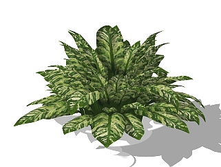 现代<em>室内</em>植物<em>草图大师</em>模型，<em>室内</em>植物SKP模型下载