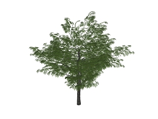 梧桐<em>树景观</em>树免费su模型下载、景观树草图大师模型下载