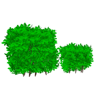 垂榕灌木丛sketchup模型，常绿灌木skp文件下载