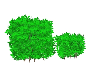 垂榕灌木丛sketchup模型，<em>常绿</em>灌木skp文件下载