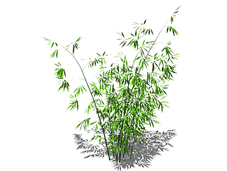 倭<em>竹</em>植物su模型，<em>景观</em>绿植草图大师模型下载