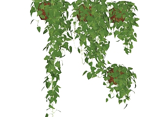 垂直绿化植物墙su模型下载，绿萝背景墙草图大师模型