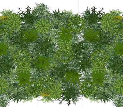 银短叶虎尾兰植物墙sketchup模型，室内植物墙skp文件下载