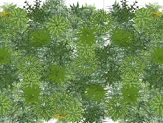 银短叶虎尾兰植物墙sketchup模型，室内植物墙skp文件下载