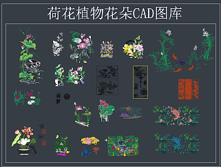 荷花植物花朵 CAD图库,图库CAD建筑图纸下载