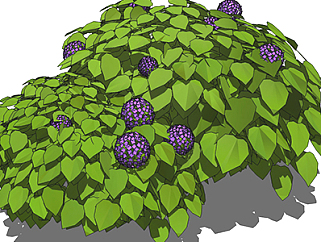 绣球花植物su模型，绿植灌木草图大师模型下载