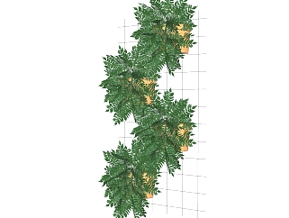 贯众盆栽植物su模型，<em>园艺</em>花草sketchup模型下载