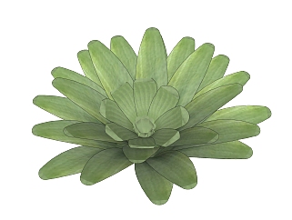 霜之<em>朝</em>绿植sketchup模型，现代观叶植物skp文件下载