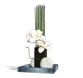  现代花瓶花卉草图大师模型，花瓶花卉sketchup模型下载