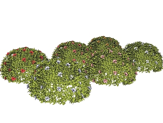 山茶灌木丛sketchup模型，常绿灌木skp文件下载