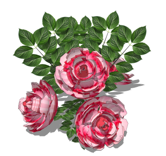 牡丹绿植sketchup模型，现代花卉植物skp文件下载