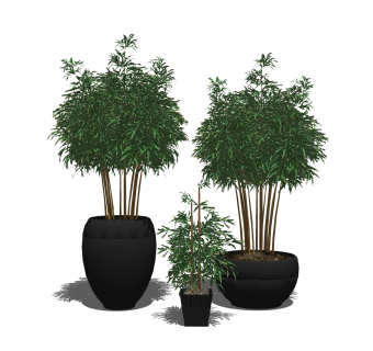 现代风格盆栽sketchup模型下载