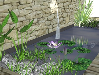 喷泉<em>景观</em>sketchup模型，莲池<em>水生植物</em>skp文件下载