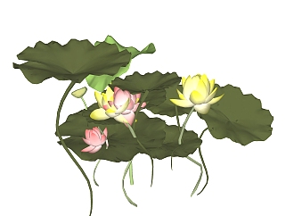 荷花绿植sketchup模型，现代<em>观</em>花植物skp文件下载