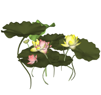 荷花绿植sketchup模型，现代观花植物skp文件下载