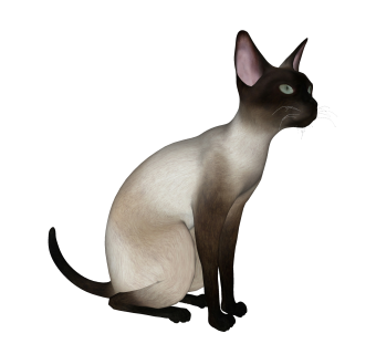 现代雪鞋猫sketchup模型，动物草图大师模型下载