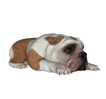 现代老虎犬草图大师模型，动物sketchup模型下载