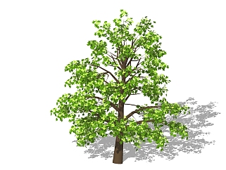 梧桐<em>树景观树</em>免费su模型下载、<em>景观树</em>草图大师模型下载
