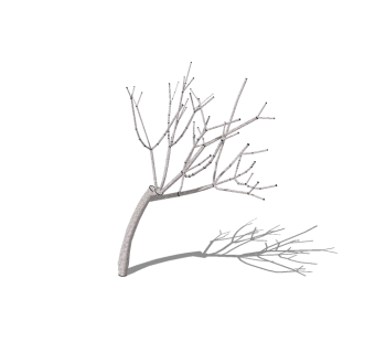 现代景观枯树SU模型，植物树草图大师模型下载