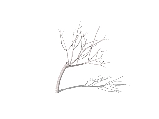 现代景观<em>枯树</em>SU模型，植物树草图大师模型下载
