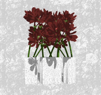 君子兰插花草图大师模型，花艺花瓶sketchup模型下载