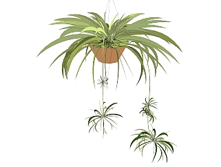 <em>现代室内</em>植物草图大师模型，室内植物SKP模型下载