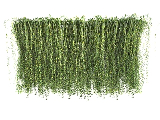 迎春垂直绿化植物墙su模型下载，绿植背景墙草图大师模型