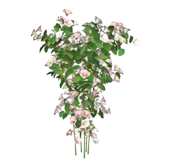 锦带花sketchup文件，现代花艺草图大师模型下载