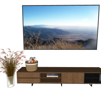 现代电视柜植物sketchup模型下载