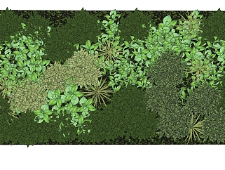 玉簪植物墙sketchup模型，室内植物墙skp文件下载