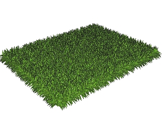 地毯草灌木丛sketchup模型，常绿灌木skp文件下载