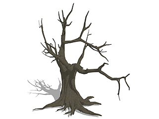 <em>枣树</em>枯树乔木草图大师模型，景观绿植sketchup素材下载