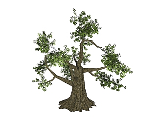 榆树景观树免费su模型下载、景观树草图大师模型下载