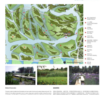 镜湖湿地景观设计平面图，公园总体概念规划设计方案