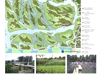 镜湖湿地景观设计平面图，公园总体概念规划设计方案
