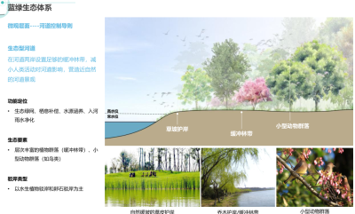 [上海]青浦重固镇概念规划景观方案文本-AECOM（新型城镇化综合示范区）_8