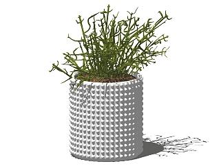现代<em>植物盆栽</em>草图大师模型，绿玉树sketchup模型下载