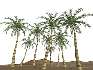 现代<em>椰子树</em>免费su模型下载、<em>椰子树</em>草图大师模型下载