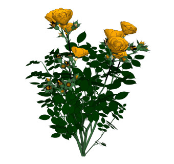 月季绿植sketchup模型，现代观花植物skp文件下载