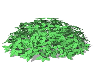 <em>鹅掌柴</em>灌木丛sketchup模型，常绿灌木skp文件下载